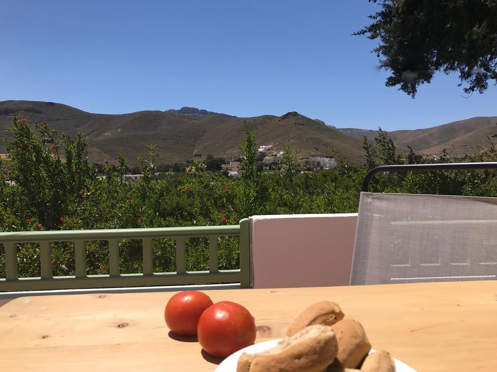 Panai'S Garden Apartment Livadi  Екстериор снимка